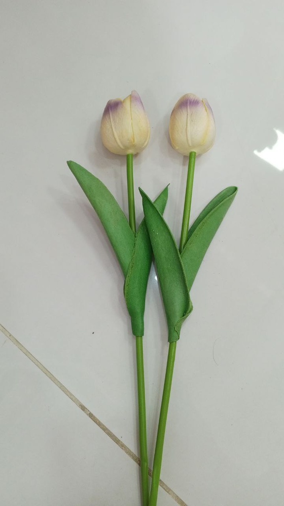 Tulips (Purple & White)
