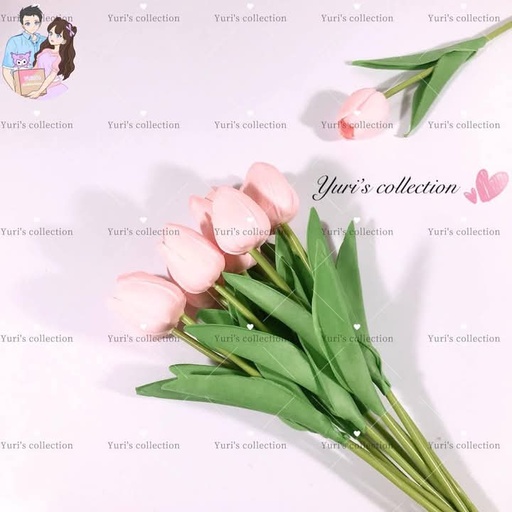 [3821-4] Tulips (Pink)