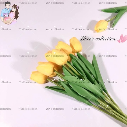 [3821-6] Tulips (Yellow)