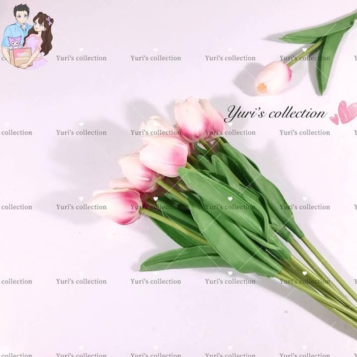 [3821-2] Tulips (Red & White)