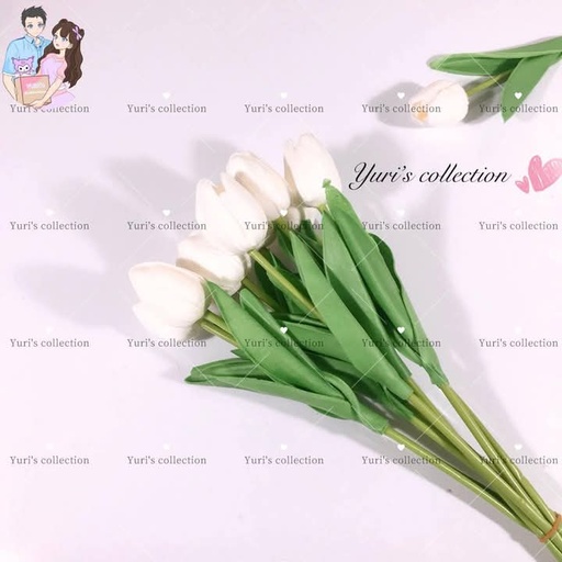 [3821-3] Tulips (White)