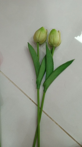 [3821-11] Tulips (Green)
