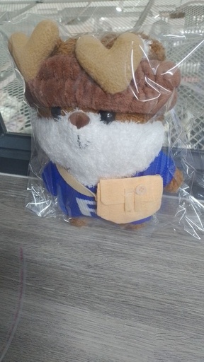 [3928-1] Bear Fluffy Doll With Glasses (Blue Color)